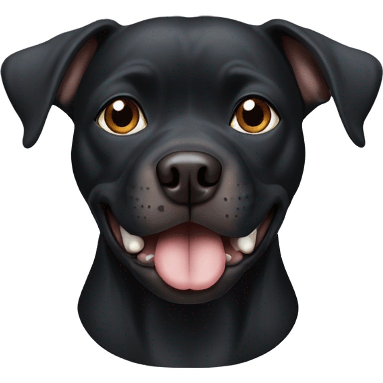 Black pitbull dog with one blue eye and one brown eye emoji