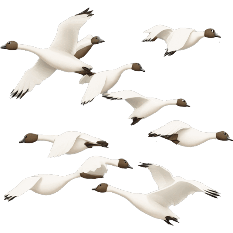 Geese flying in a V formation emoji