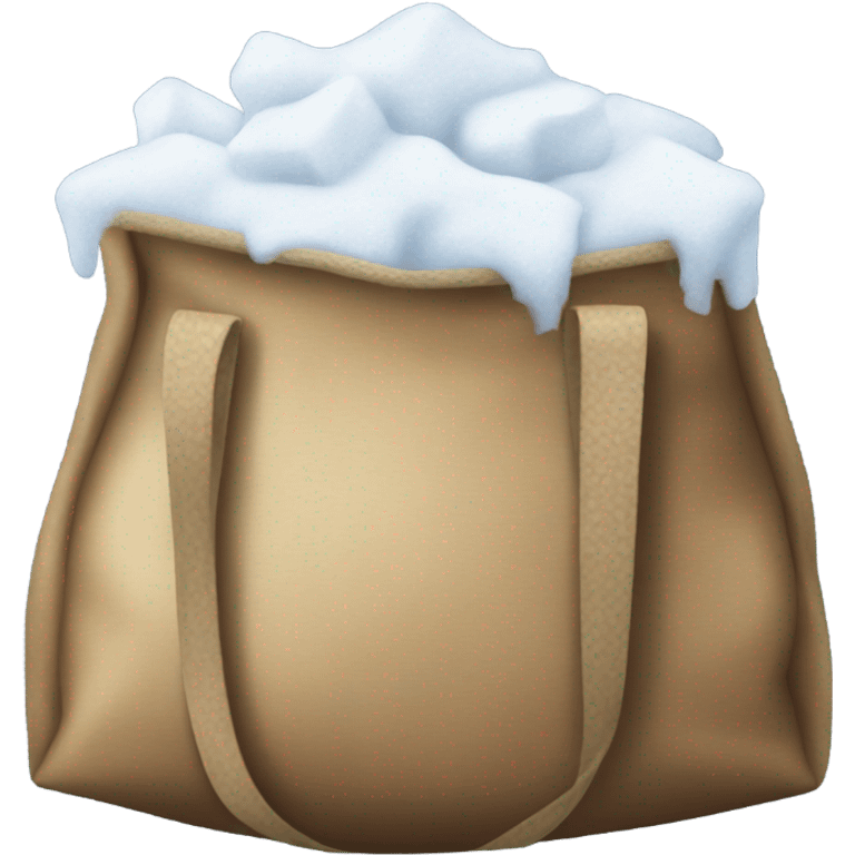 Bag of snow  emoji