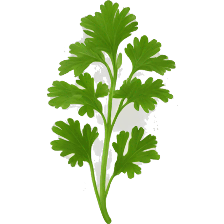 Coriander emoji