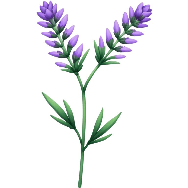 single Lavender flower stem emoji