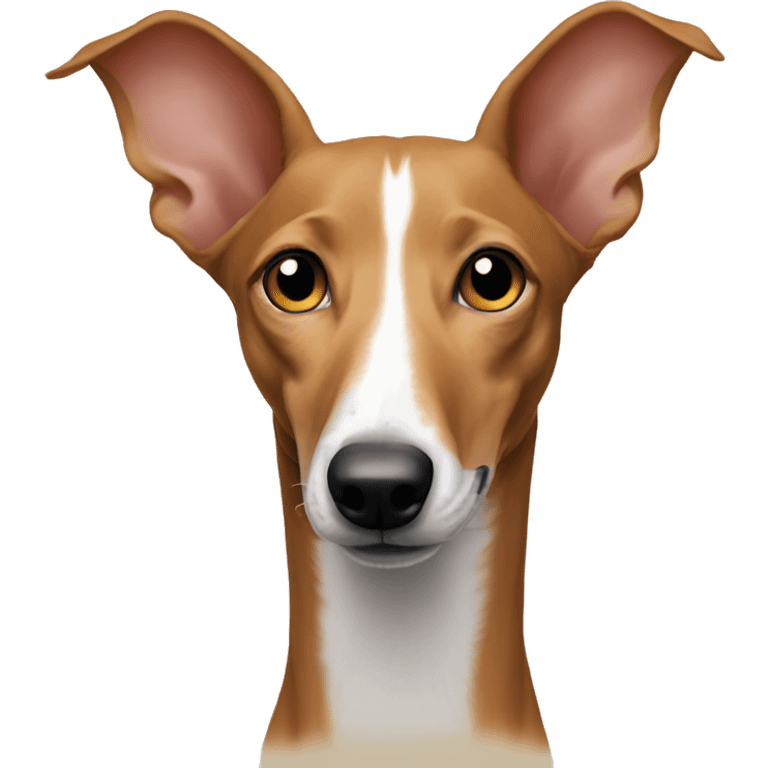 Podenco  emoji