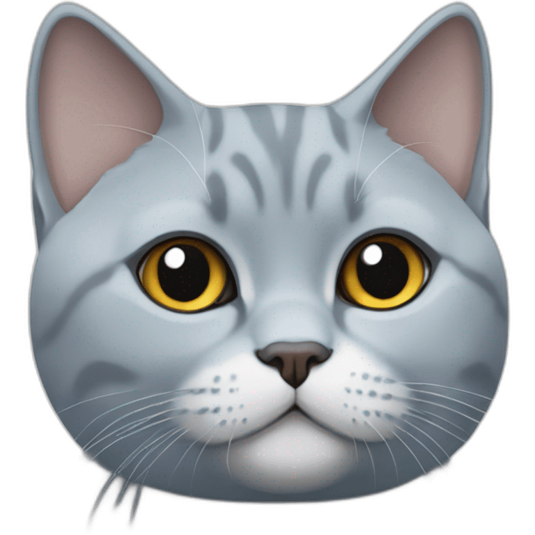 Blue and white British shorthair cat emoji