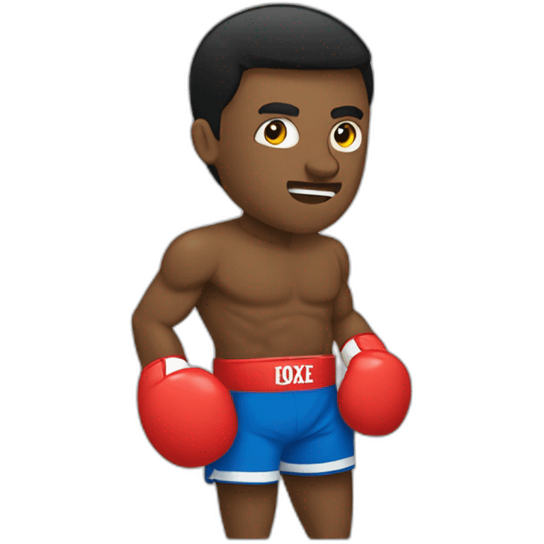 Combat de boxe emoji