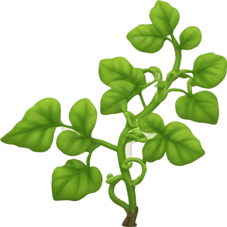 Vine plant emoji