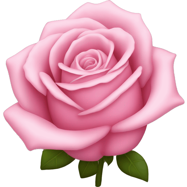 Une rose rose en taille emoji classsique  emoji