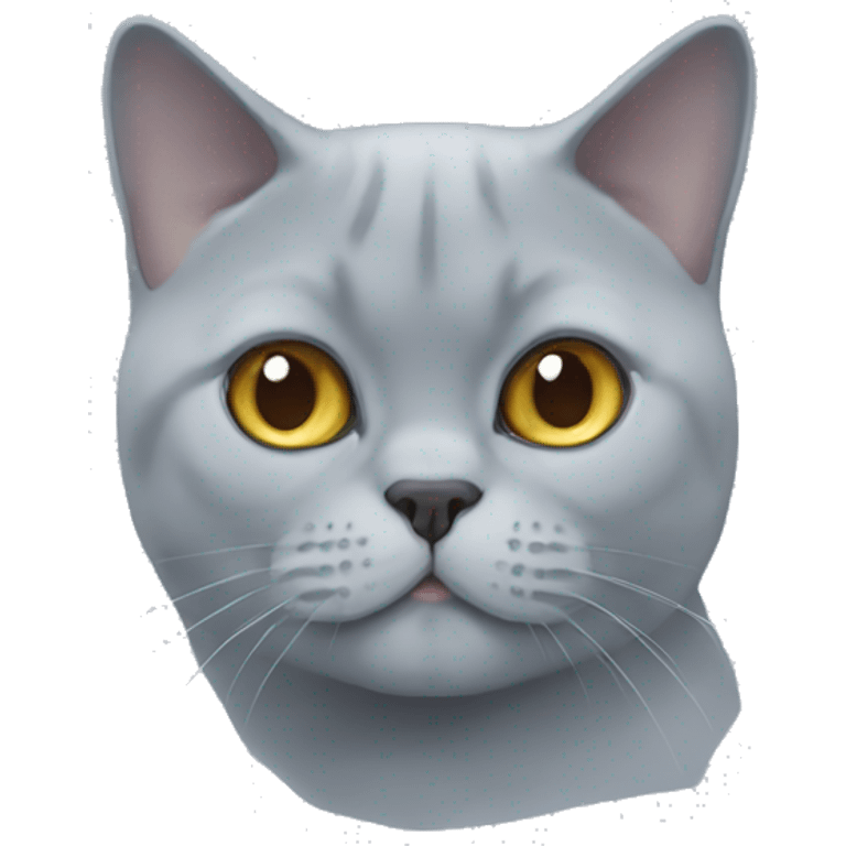 British shorthair cat face more blue emoji