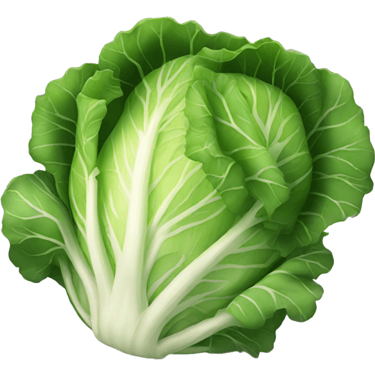 cabbage emoji