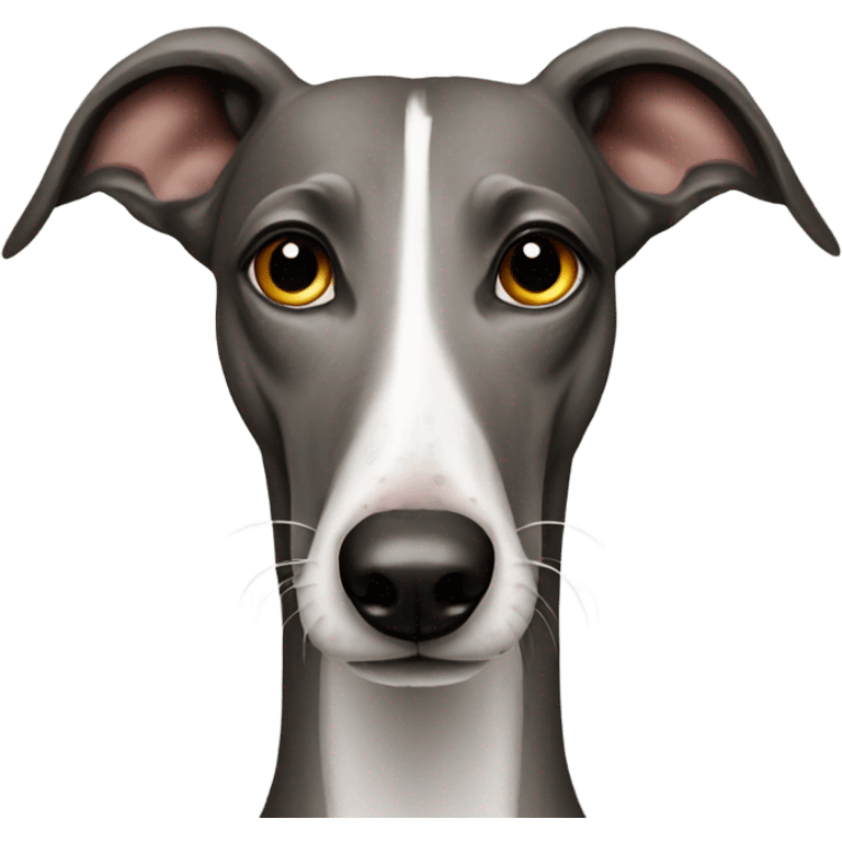 galgo do emoji