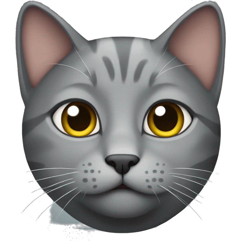 a gray cat says yes emoji