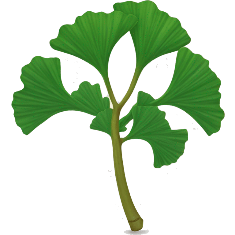 Ginkgo biloba emoji