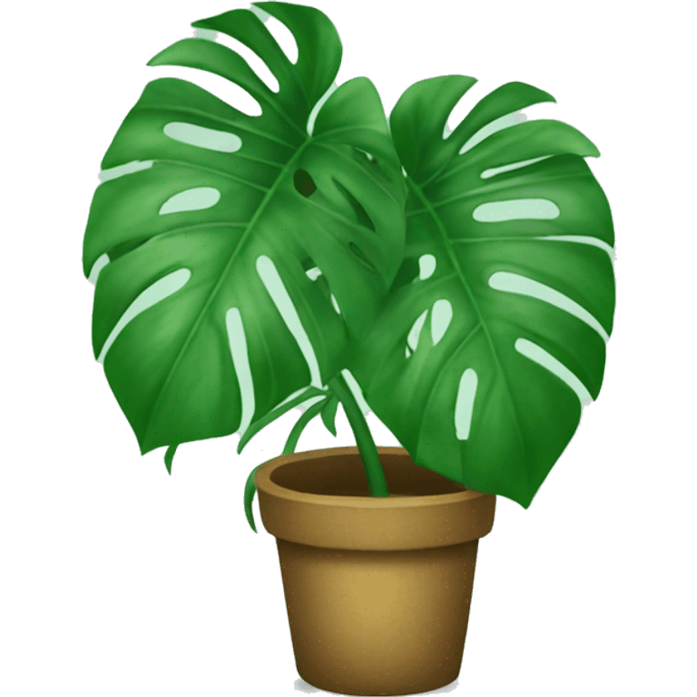 Monstera emoji