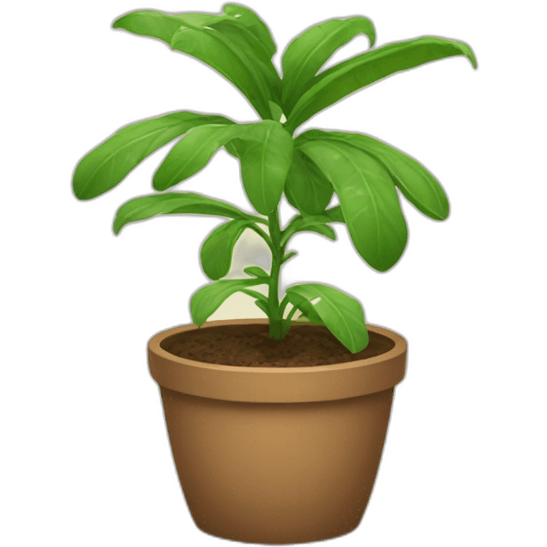 plante pirhana emoji