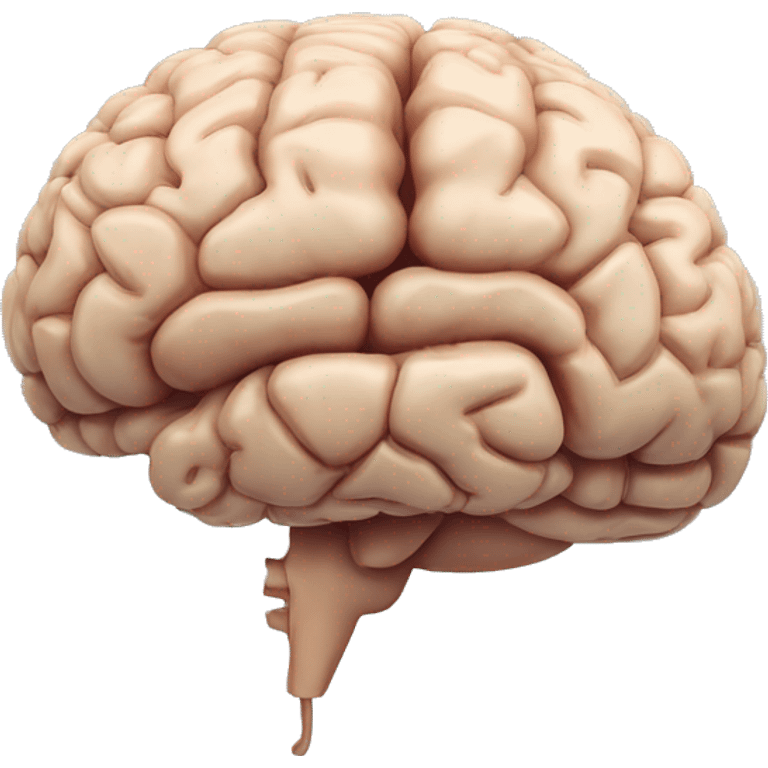 Cerebellum of brain without the rest of brain emoji