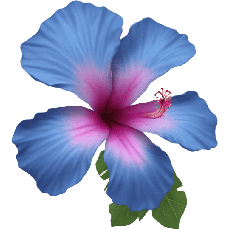 Blue hibiscus flower with some pink part emoji