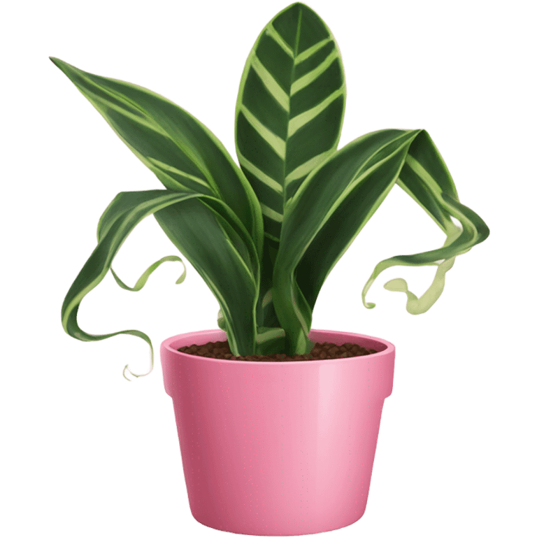 Snake plant in pink pot emoji