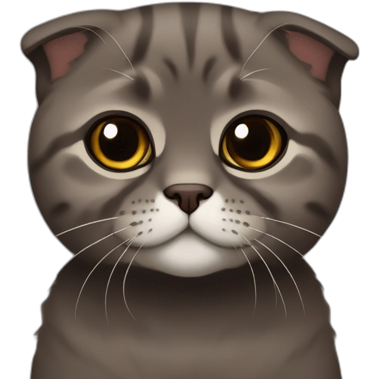 Dark brown Scottish fold breed cat emoji