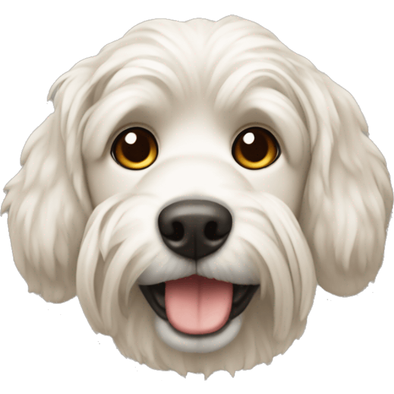 A Maltés dog  emoji