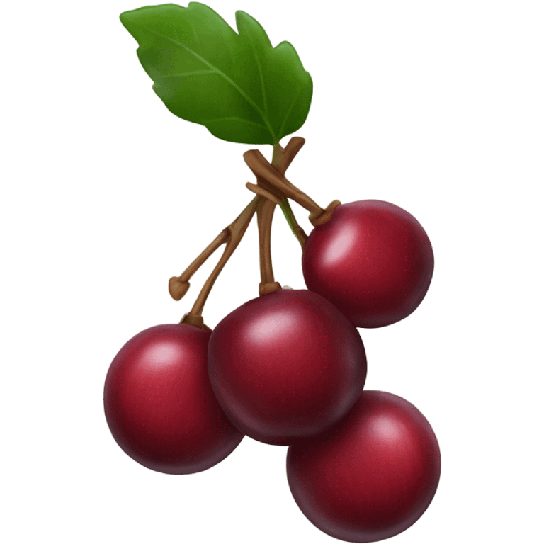 bundle of three cranberries emoji