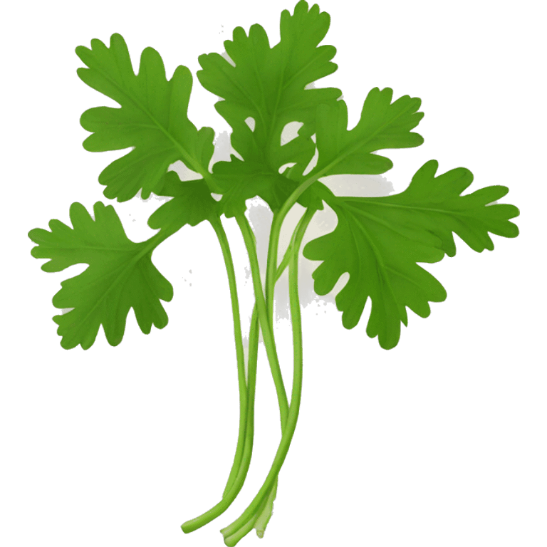 coriander emoji