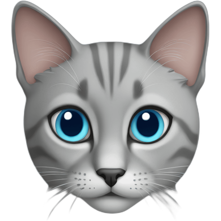 Grey briman cat with bleu eyes emoji