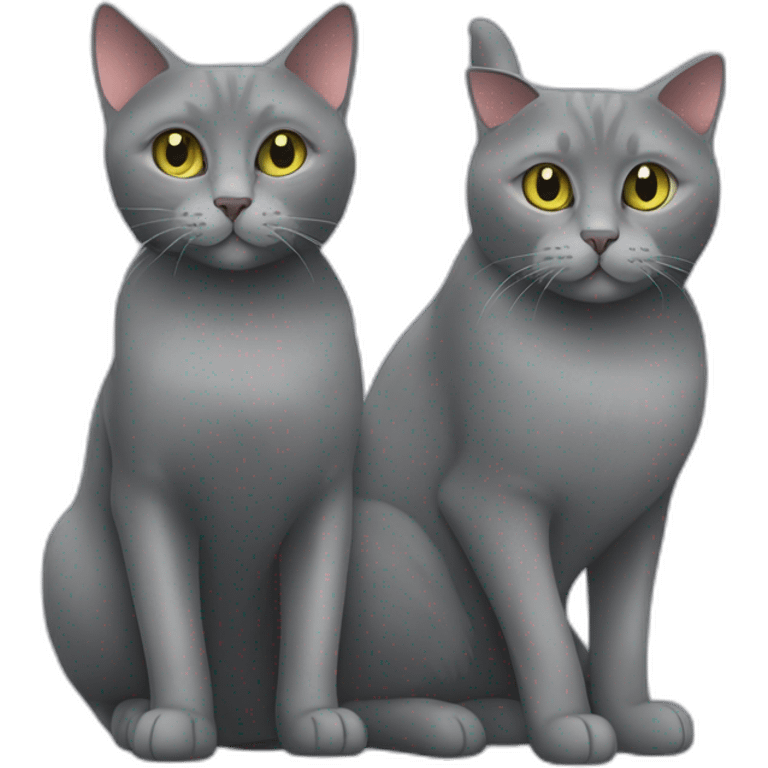 A chartreux cat and a European cat together  emoji