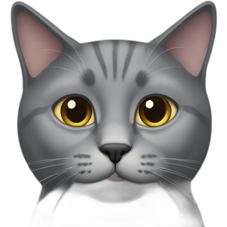 flat faced gray cat emoji