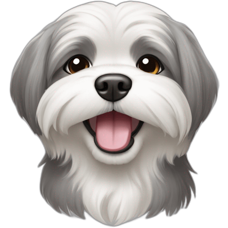 gray and white lhasa apso smiling emoji