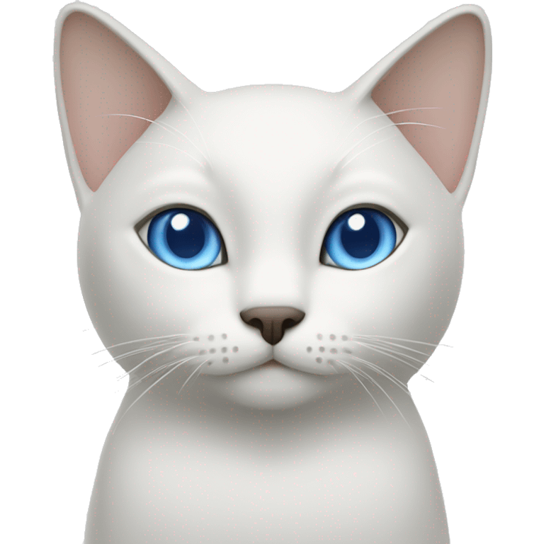 White Siam cat with blue eyes  emoji