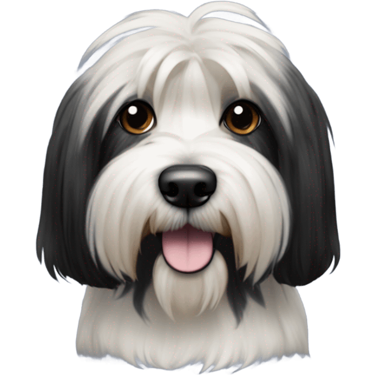 Tibetan terrier, all black fur  emoji