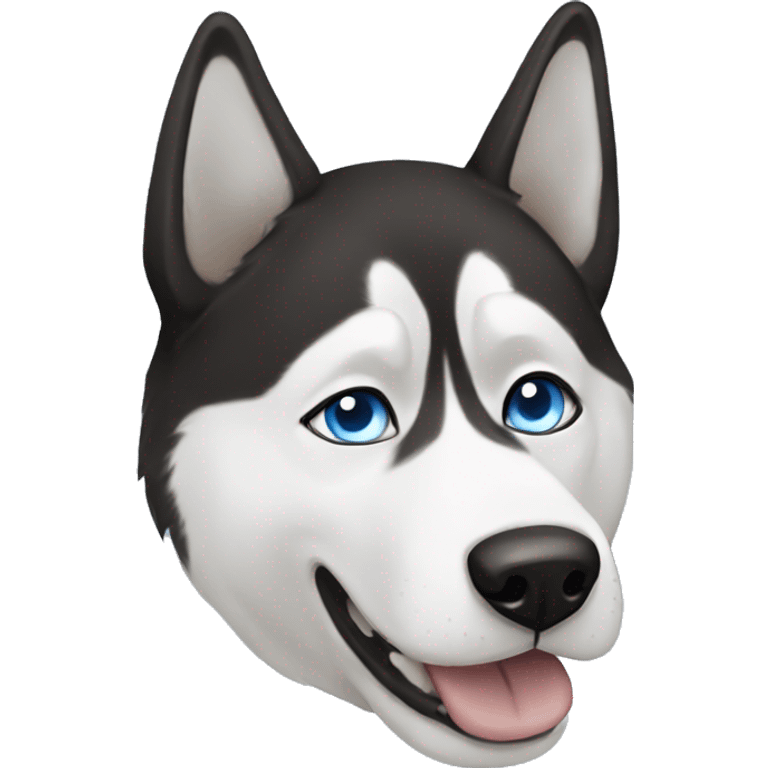 Black and white husky dog with a left blue eye and right brown eye  emoji