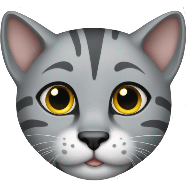 Grey bangle cat  emoji