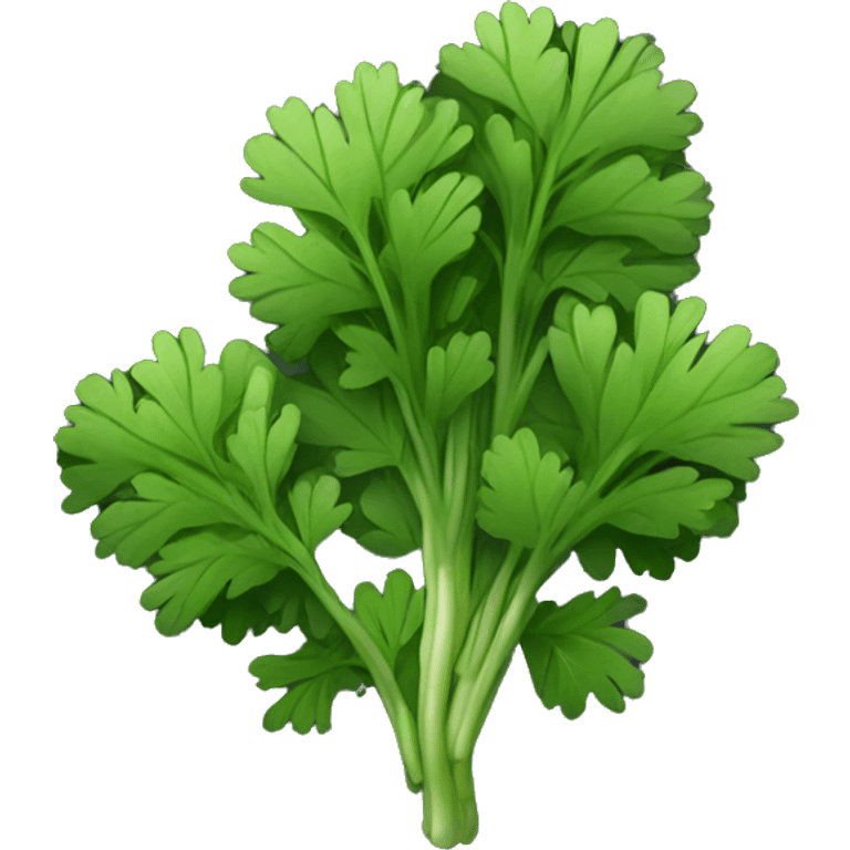 Cilantro with black background emoji