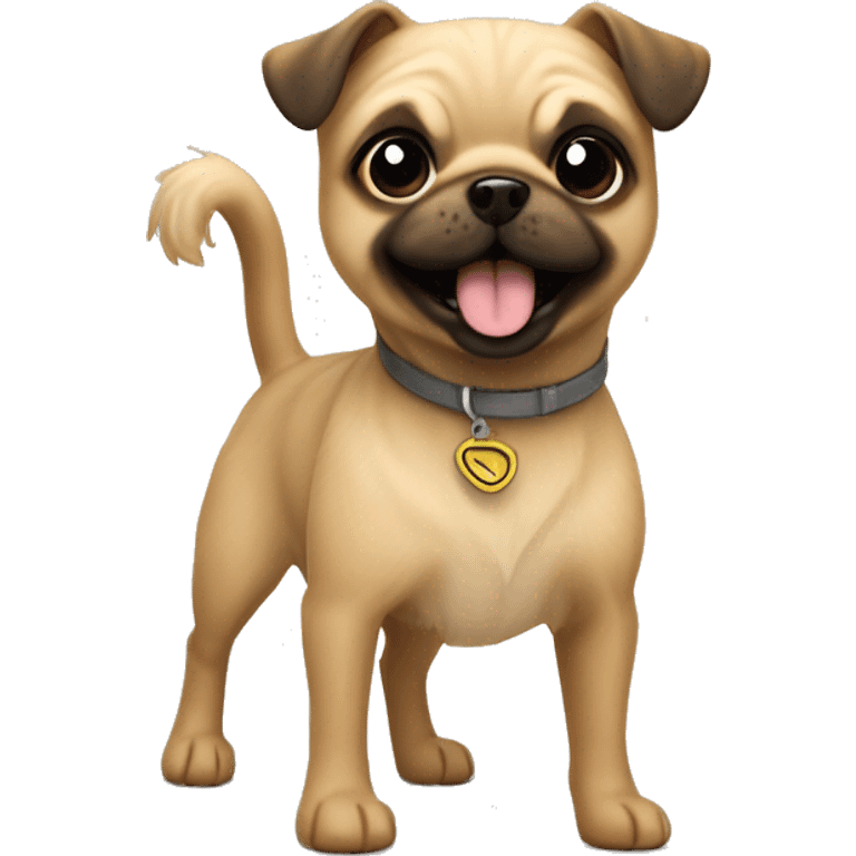 small terrier dog fawn colored wire coat with a pug tail super happy  emoji