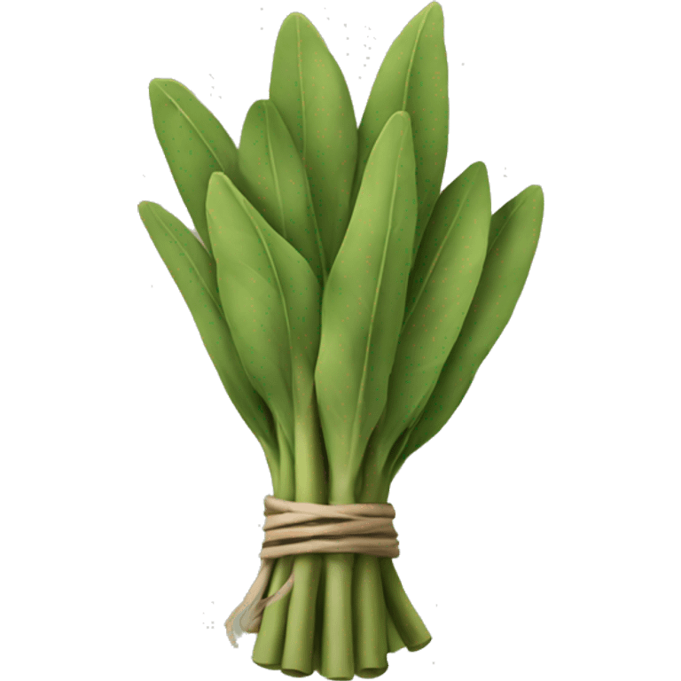 Sage bundle emoji