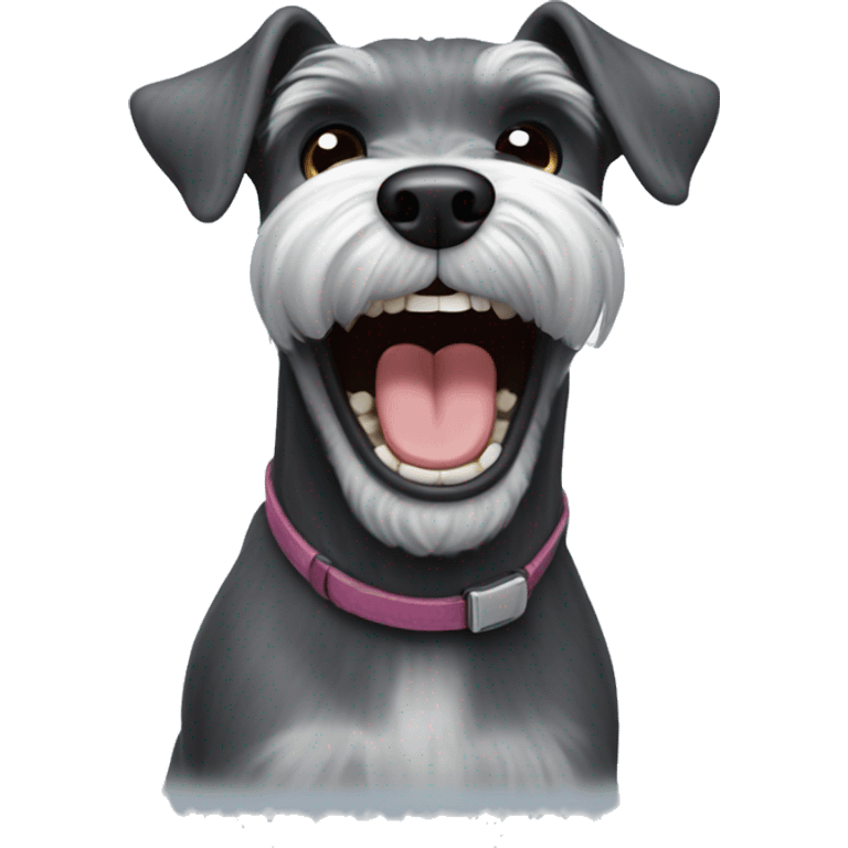 miniature schnauzer laughing  emoji