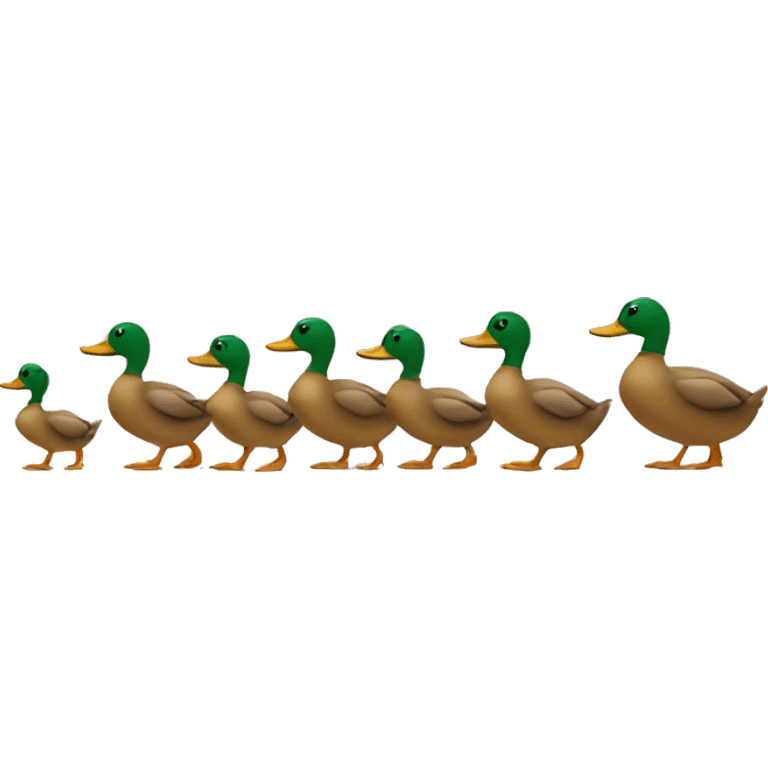 duck family walking in one line behind each other  emoji