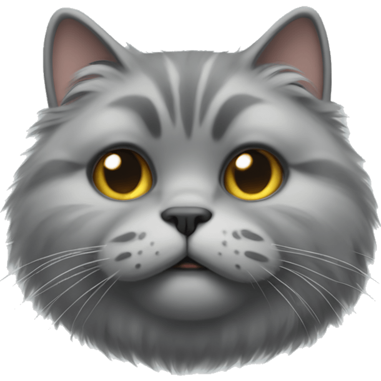 realistic fat grey fluffy cat with a small face emoji