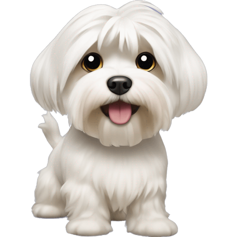 Havanese dog with hair being freshly shaved from petco emoji