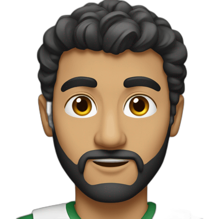 Ali Mazandarani emoji