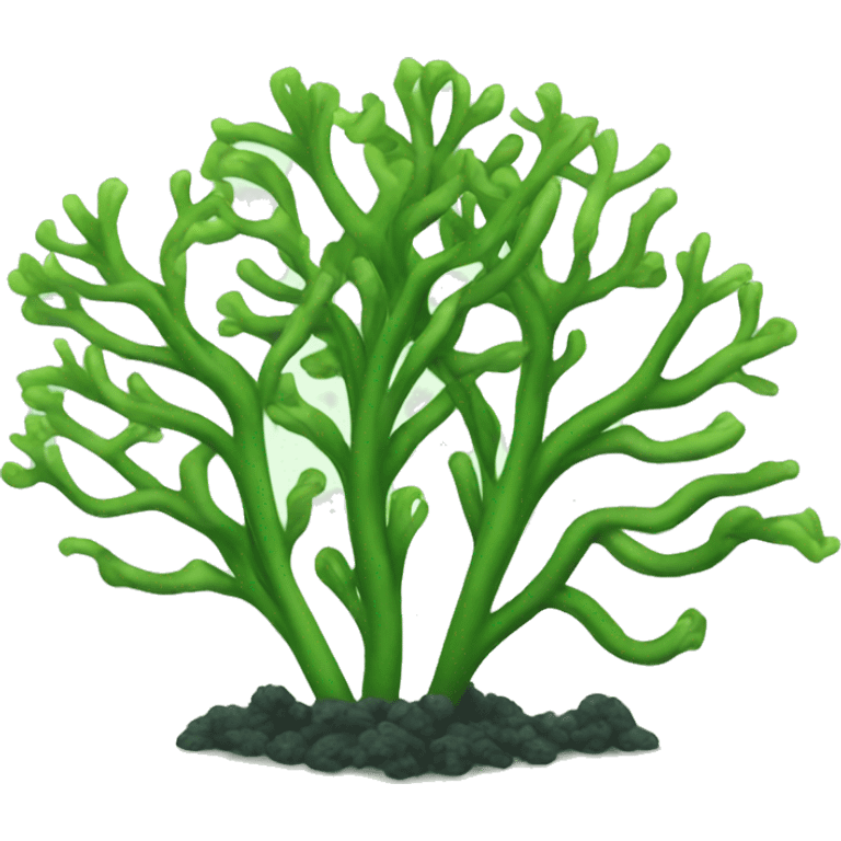 seaweed emoji