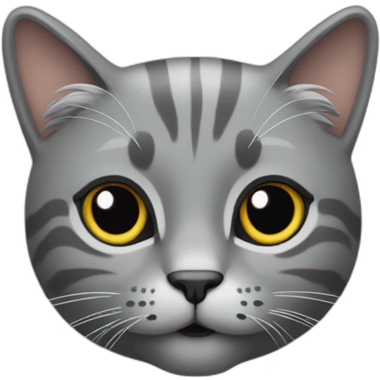 Grey cat with long coat emoji