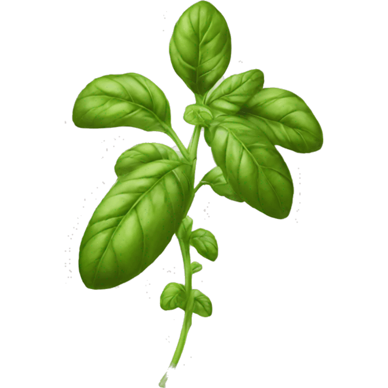 Basil emoji