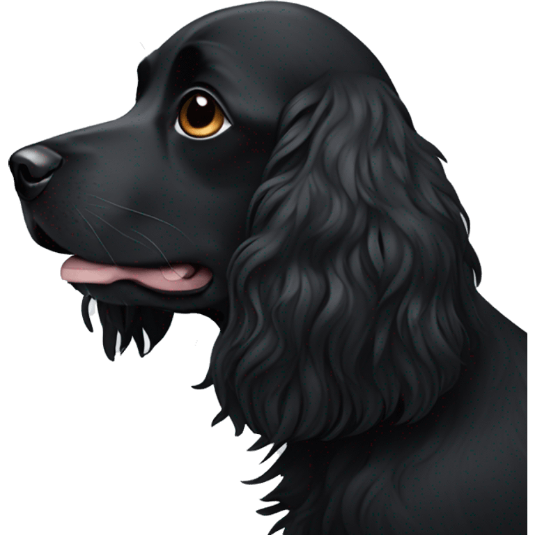 Small completely black spaniel with black fur on his whole face and white fur only on his chest emoji