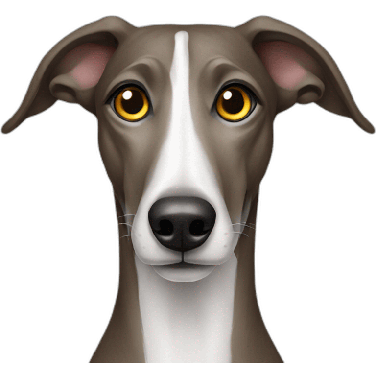 Galgo emoji