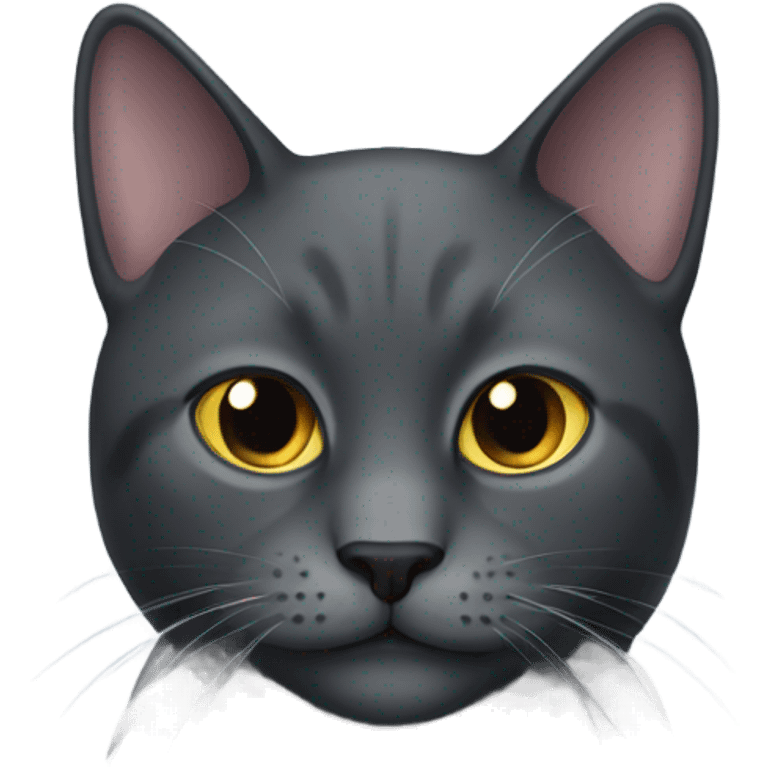 Dark Gray cat emoji