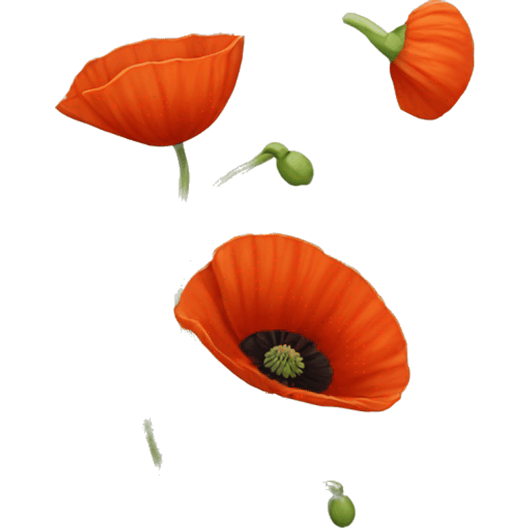 poppy emoji