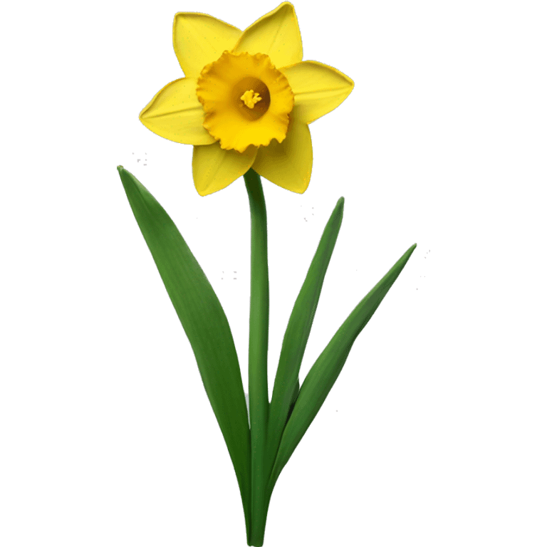 daffodil emoji