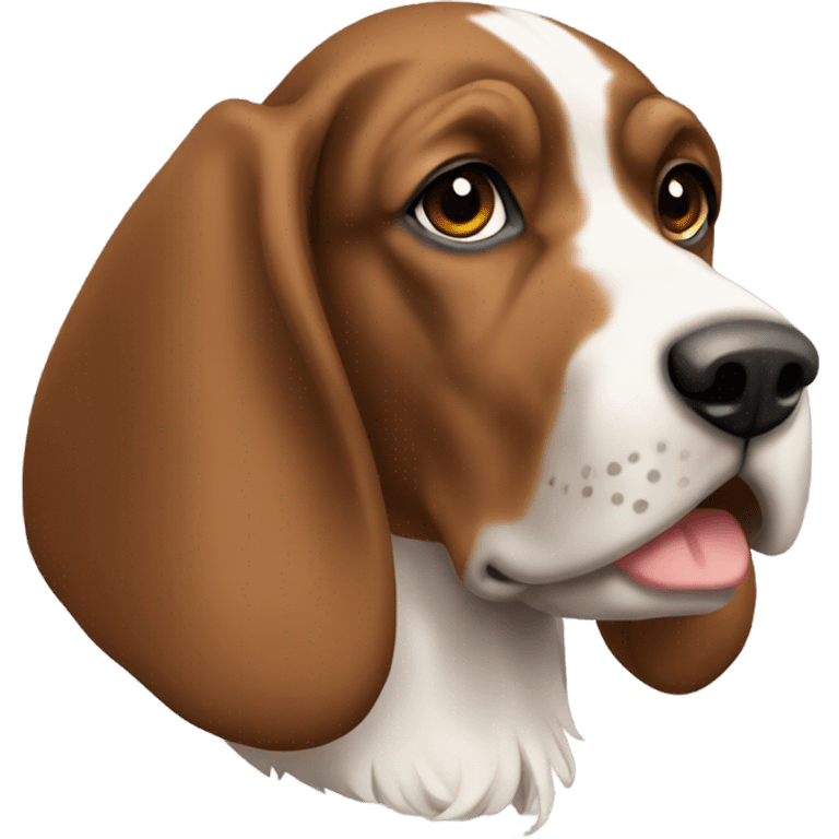 Bracco Italiano  emoji