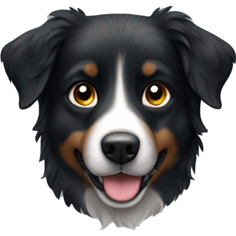 Small black australian shepherd dog with dark muzzel emoji